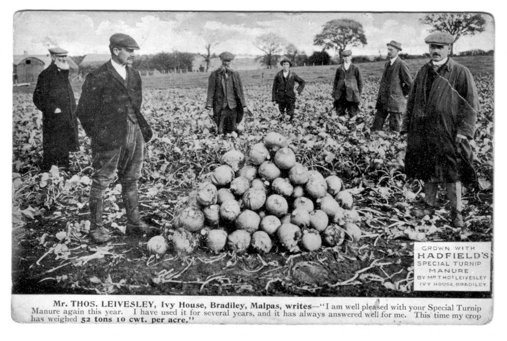 A postcard advertising Hadfield's Special Turnip Manure
