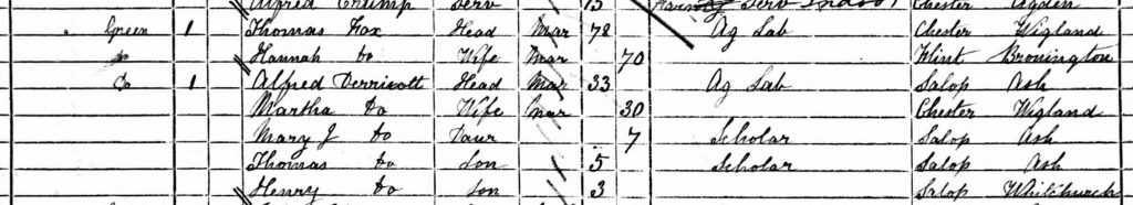 Alfred Derricutt on the 1881 census with his wife (Martha) and 3 children (Mary, Thomas and Henry).