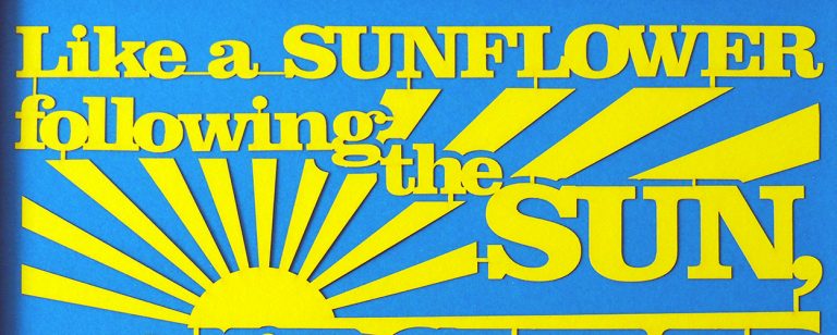 Like a sunflower following the sun...