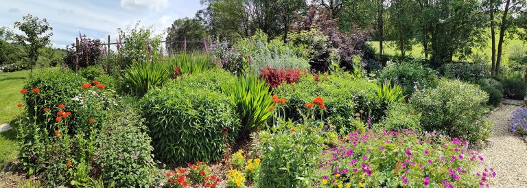 The garden at Ceunant, Llanidloes.
