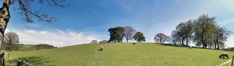 The view from the back garden.