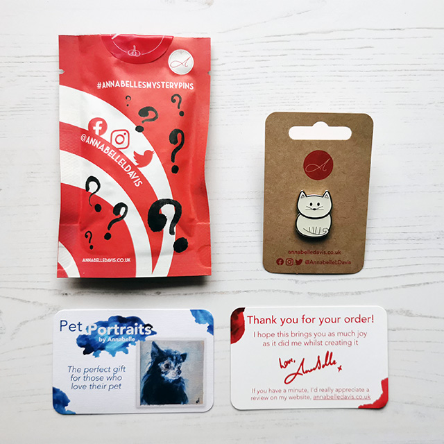 A Mystery Pin Pouch, Cat enamel pin and business cards from Annabelle Davis.